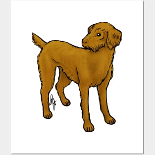 Dog - Vizsla - Wirehaired Posters and Art